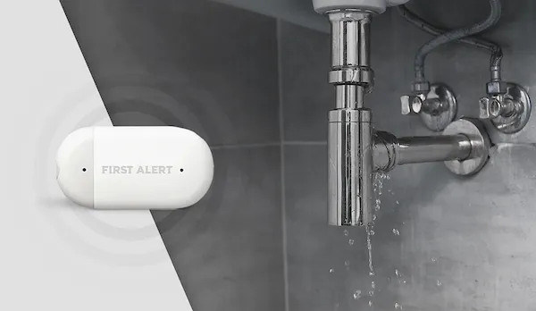 Water leak detector and environmental monitoring sensors – RedFlag Security Ottawa